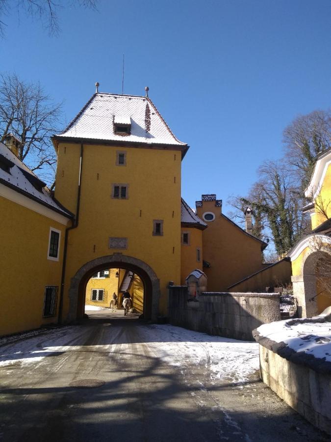 Gaestewohnung Schlossblick Grödig Buitenkant foto