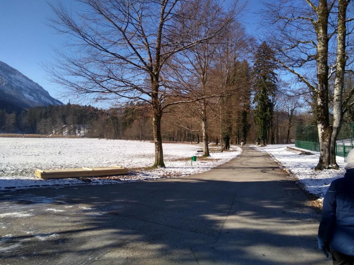 Gaestewohnung Schlossblick Grödig Buitenkant foto