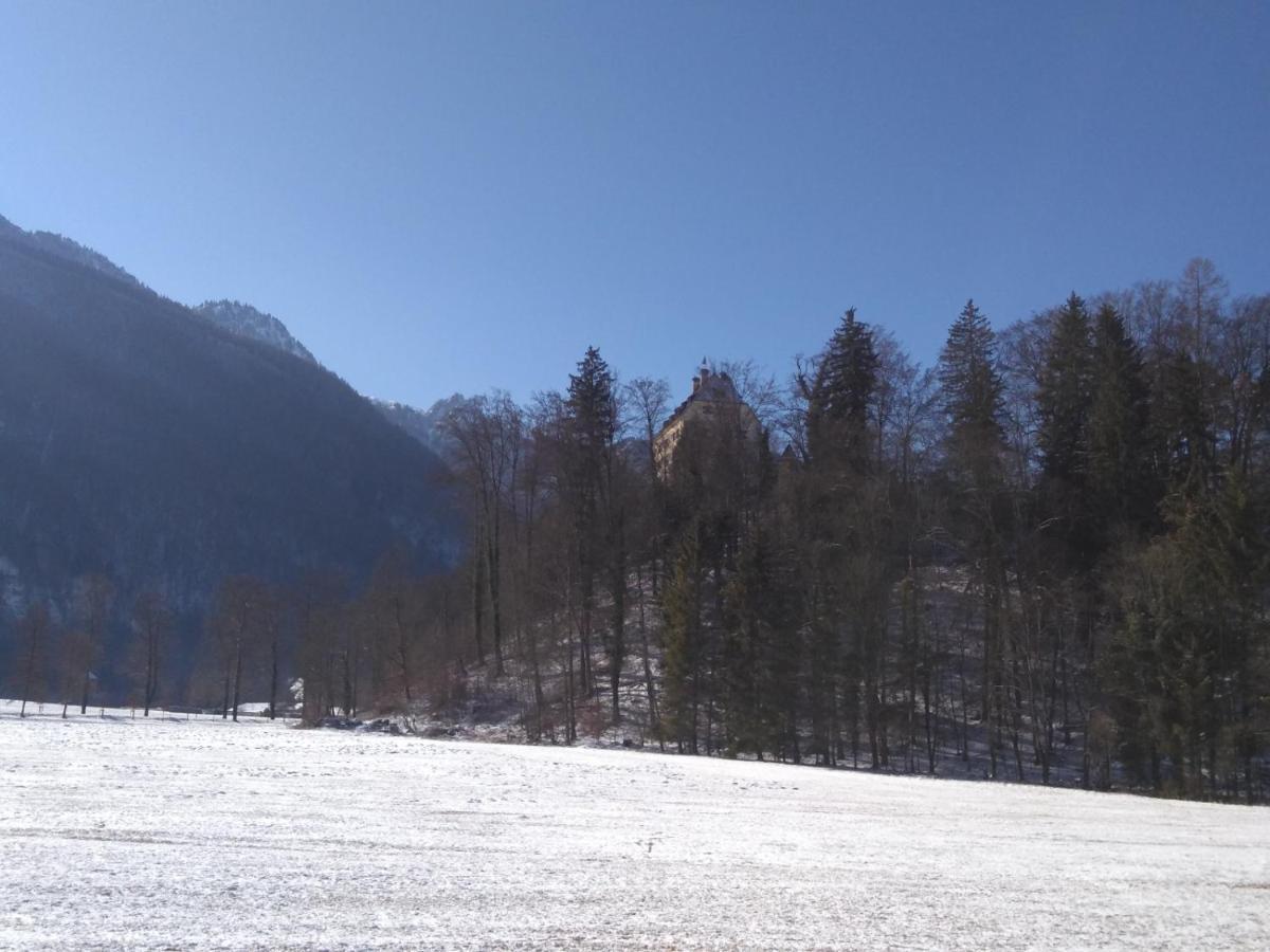 Gaestewohnung Schlossblick Grödig Buitenkant foto